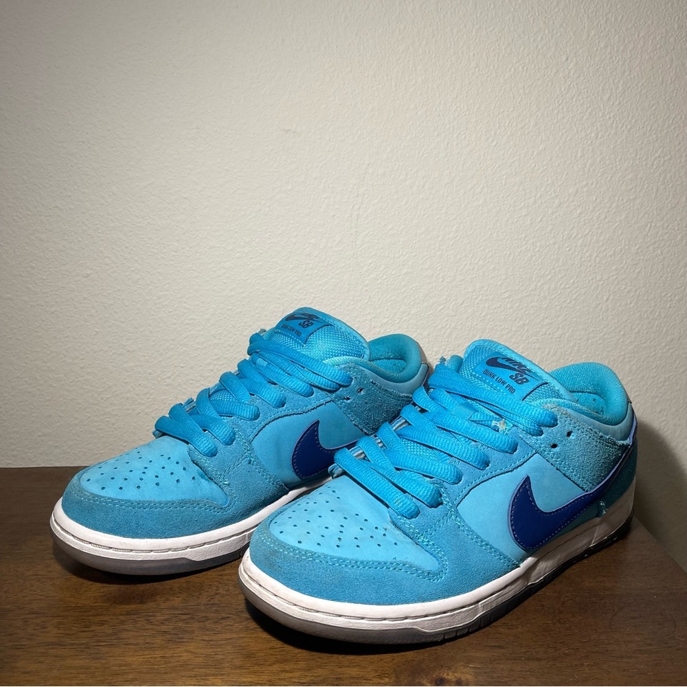 Nike sb dunks